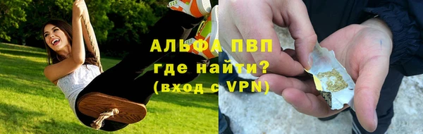 крисы Алексин