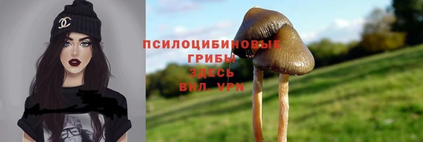 соль курить ск Алзамай