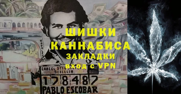 гидра Алексеевка