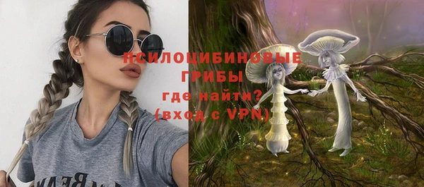 гидра Алексеевка