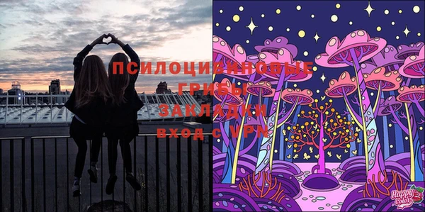 крисы Алексин
