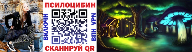 Галлюциногенные грибы мухоморы  ссылка на мегу как зайти  Новая Ладога 